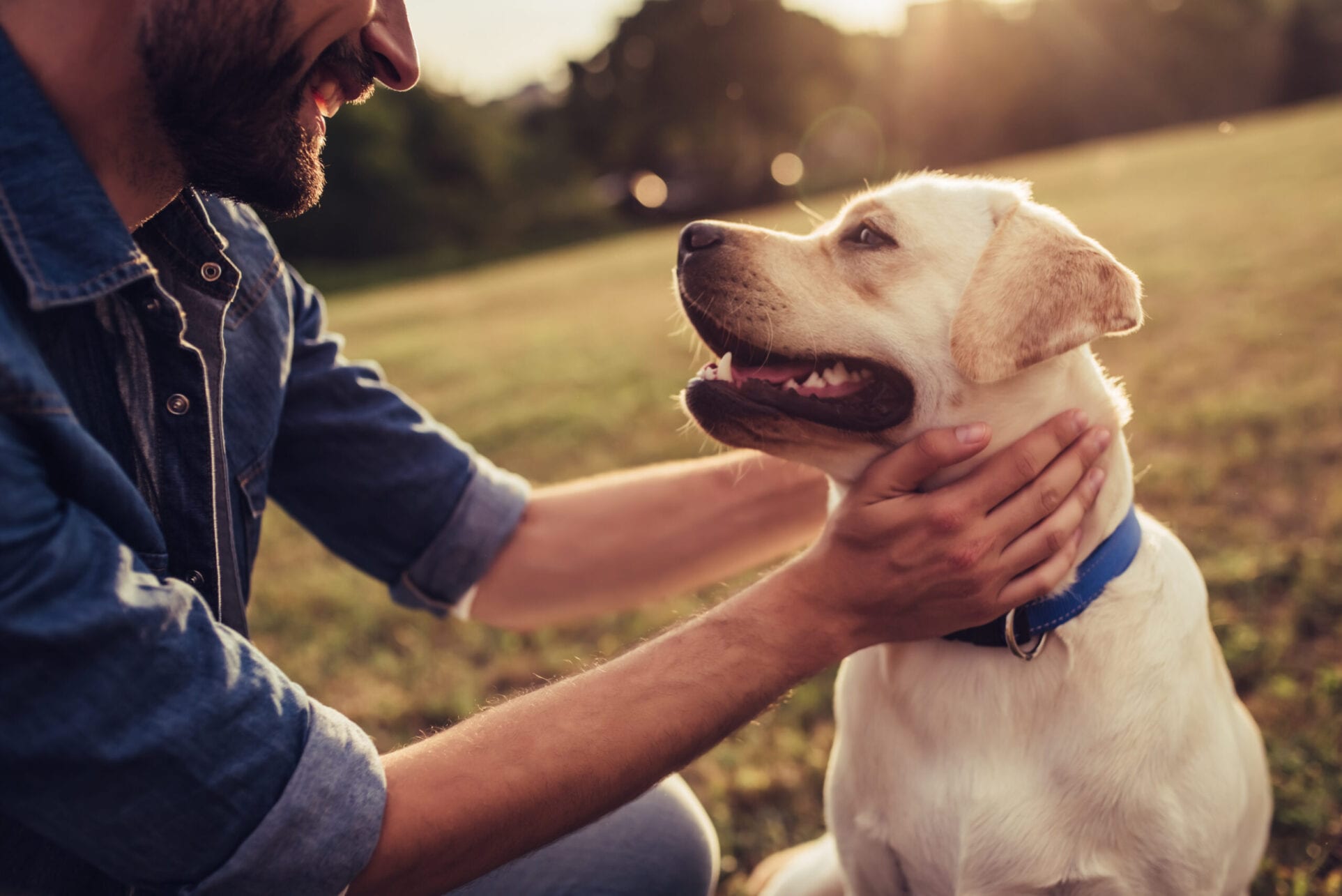 Pet-Friendly Apartments